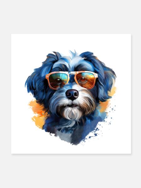 Bolonka Zwetna mit Sonnenbrille - Poster 20x20 cm - Weiß - Vorne