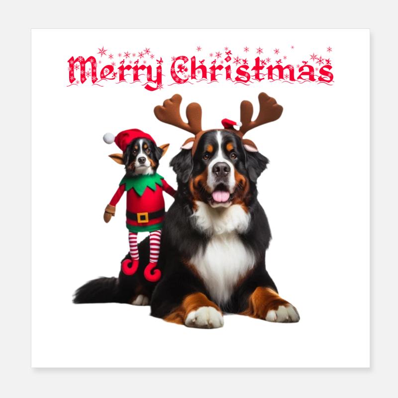 Weihnachten Berner Sennenhund Poster 20x20 cm