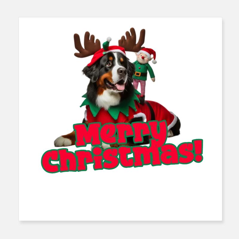 Bouvier Bernois de Noël Poster 20 x 20 cm