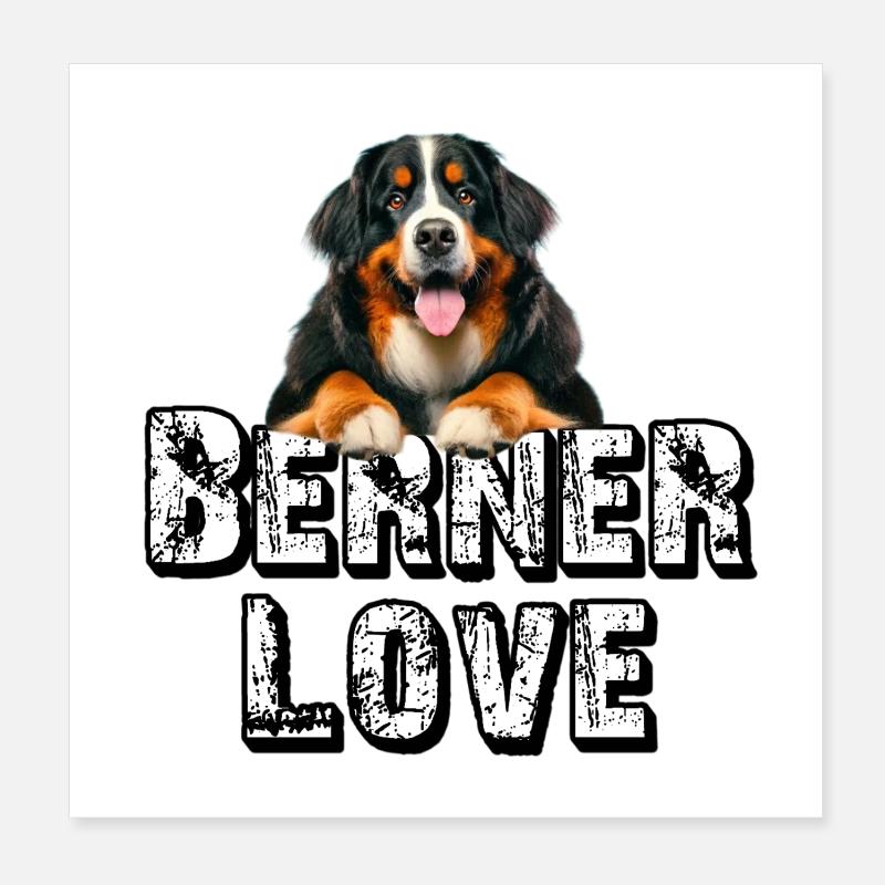 Berner Sennenhund Poster 20x20 cm