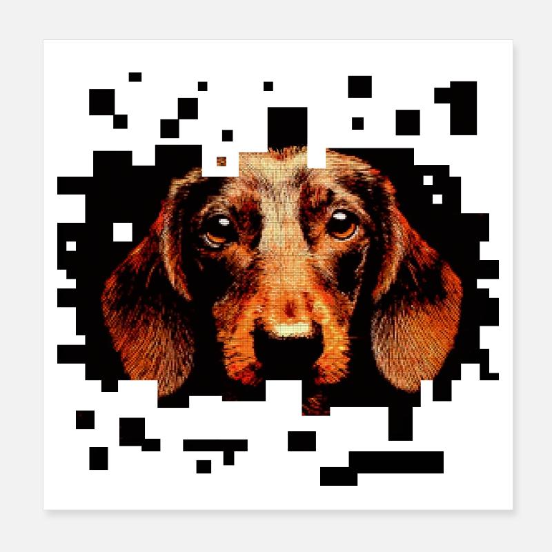 Teckel à poil dur pixelart - Poster 20 x 20 cm - blanc