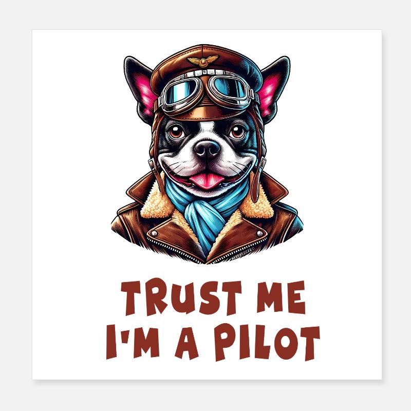 Trust Me, I'm a Pilot Poster 20x20 cm