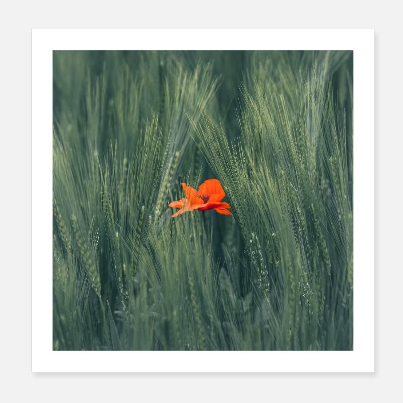 Ein Hauch von Farbe Poster 20x20 cm