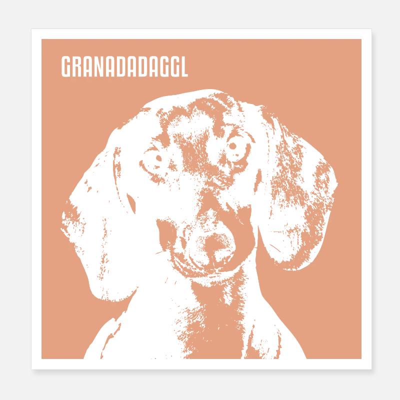 Granadadaggl - Poster 20x20 cm - Weiß