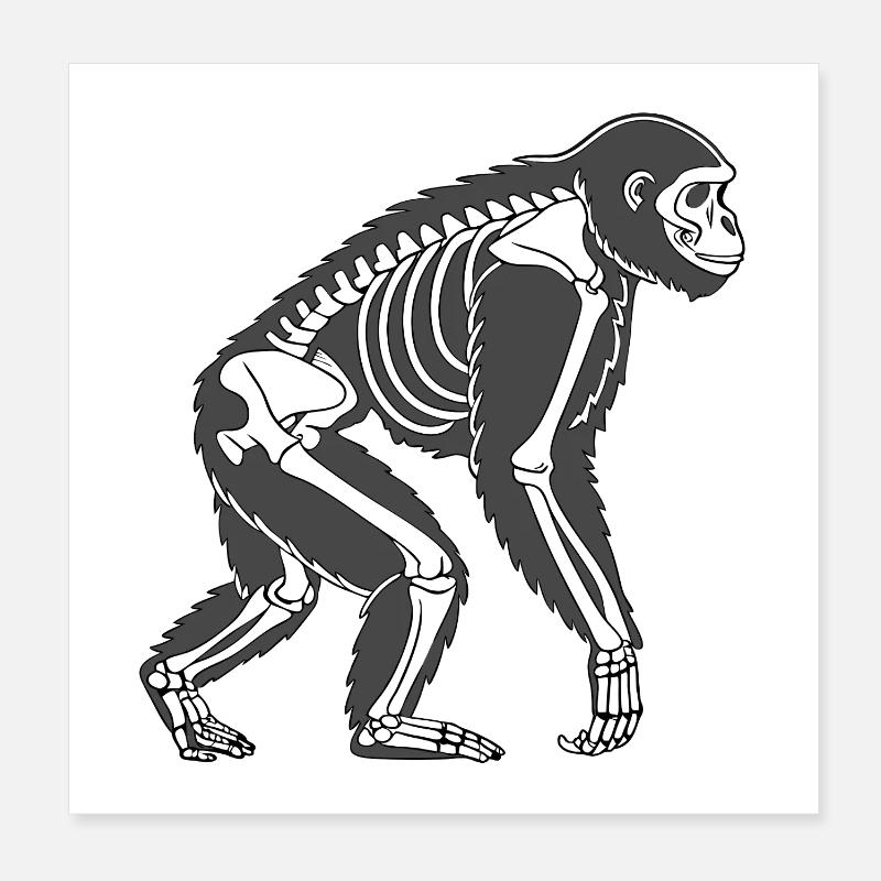 Gorilla Skeleton – Dark Animal Design in Vector Style Poster 8" x 8" (20x20 cm)