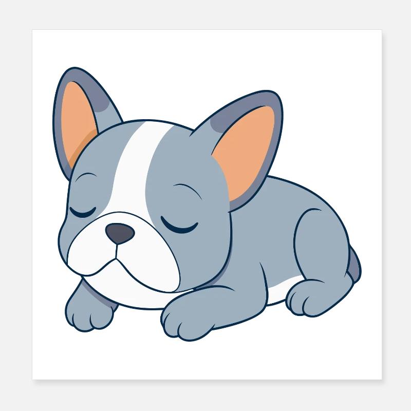 Bulldog français bleu en train de dormir Poster 20 x 20 cm