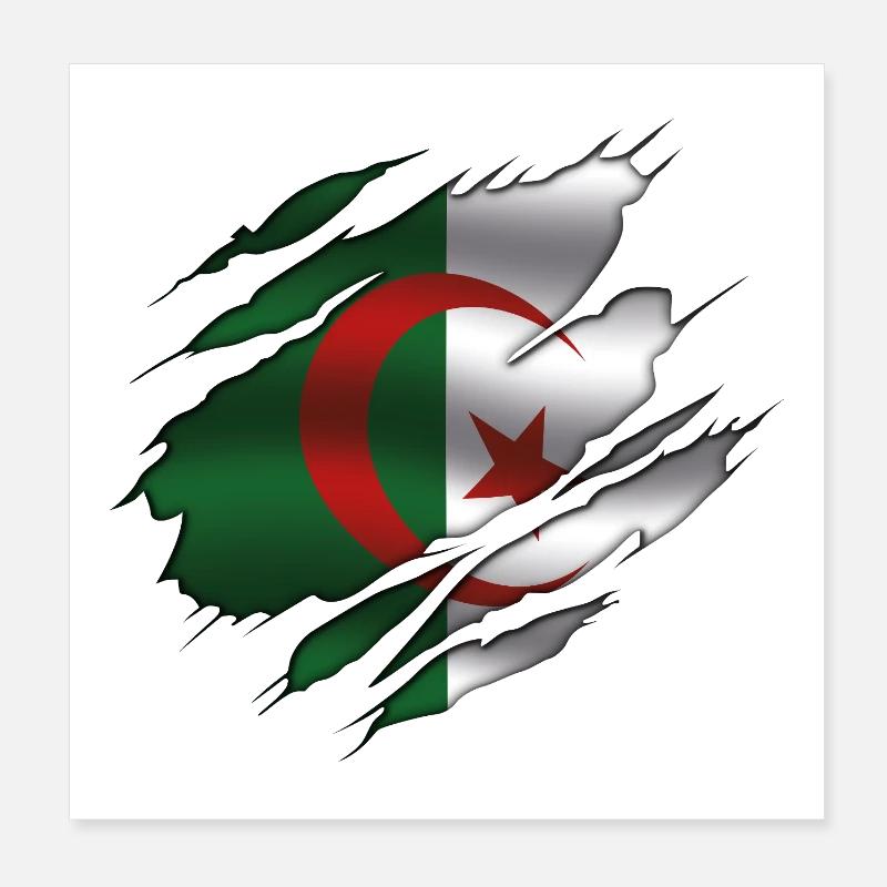 Drapeau de l’Algérie - Algérie - Drapeau déchiré Poster 20 x 20 cm
