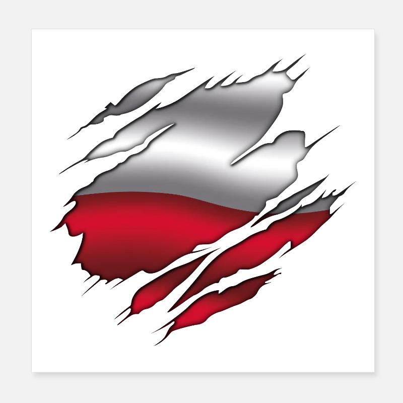 Drapeau de la Pologne - Pologne - Drapeau déchiré Poster 20 x 20 cm