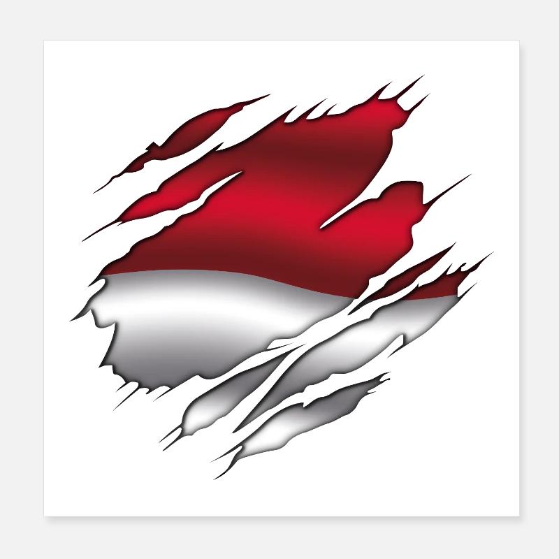 Drapeau de l’Indonésie - Indonésie - Drapeau déchiré Poster 20 x 20 cm
