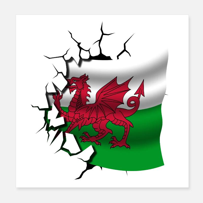Drapeau du Pays de Galles - Gallois - Drapeau Broken Design Poster 20 x 20 cm