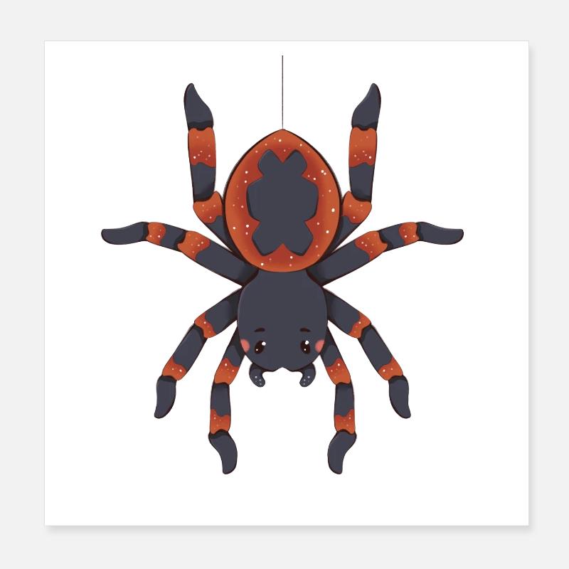 Spinne - Poster 20x20 cm - Weiß