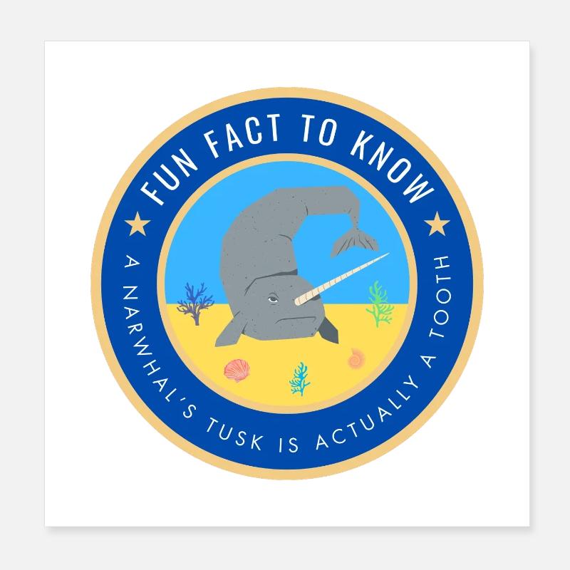 A Narwhal's tusk is actually a tooth Poster 8" x 8" (20x20 cm)