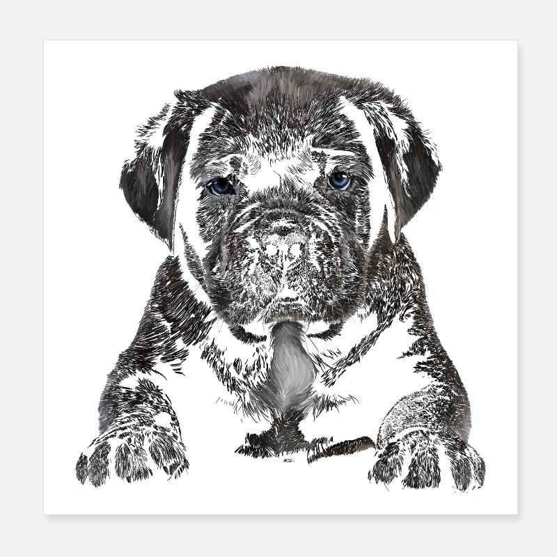 Welpe Poster 20x20 cm