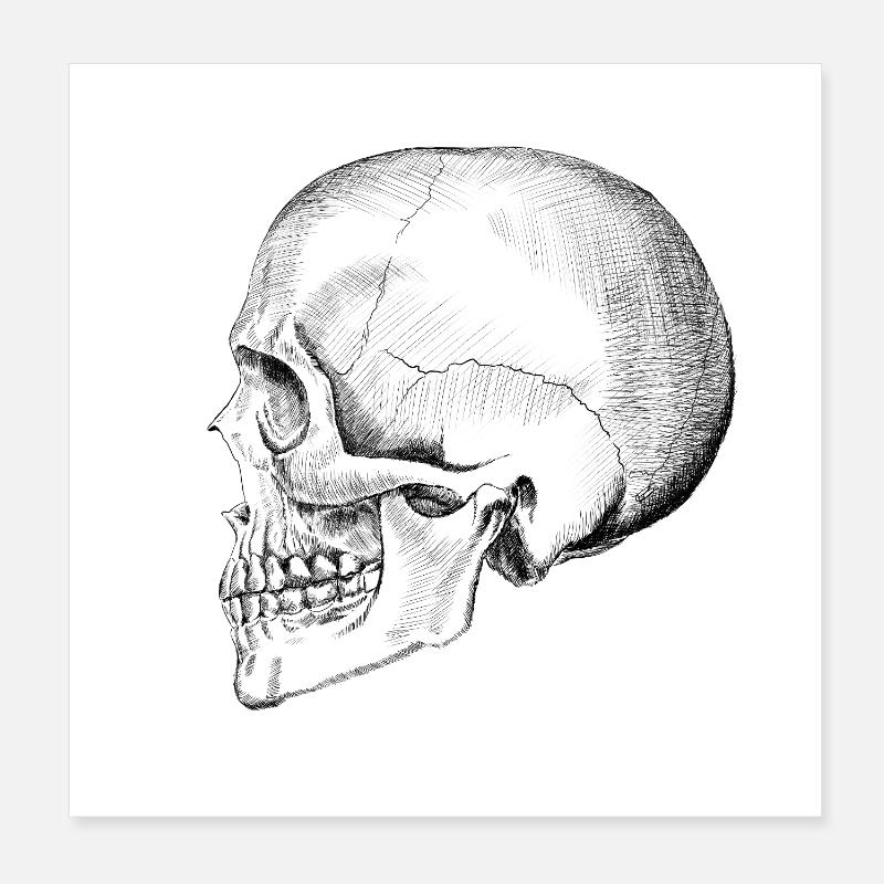 Crâne Poster 20 x 20 cm