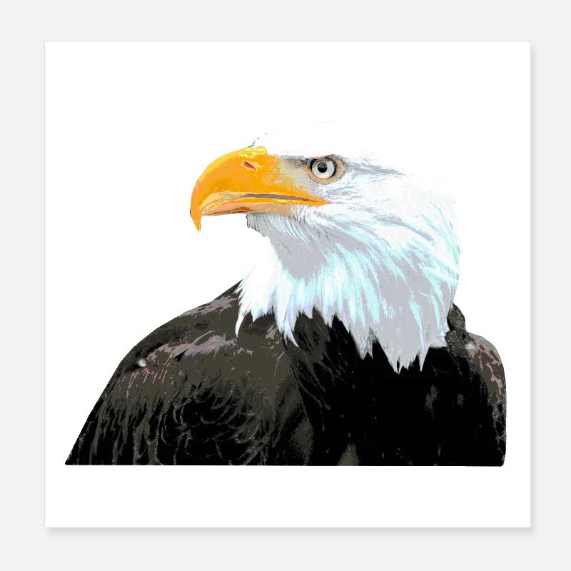 Pygargue à tête blanche oiseau déclaration Cool Animals Poster 20 x 20 cm