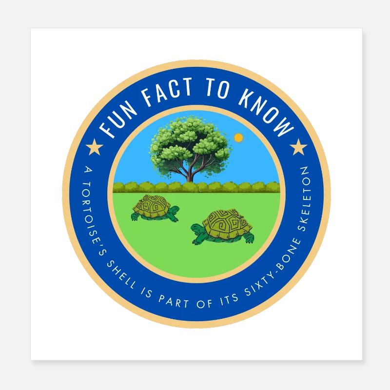 A tortoise fact Poster 8" x 8" (20x20 cm)