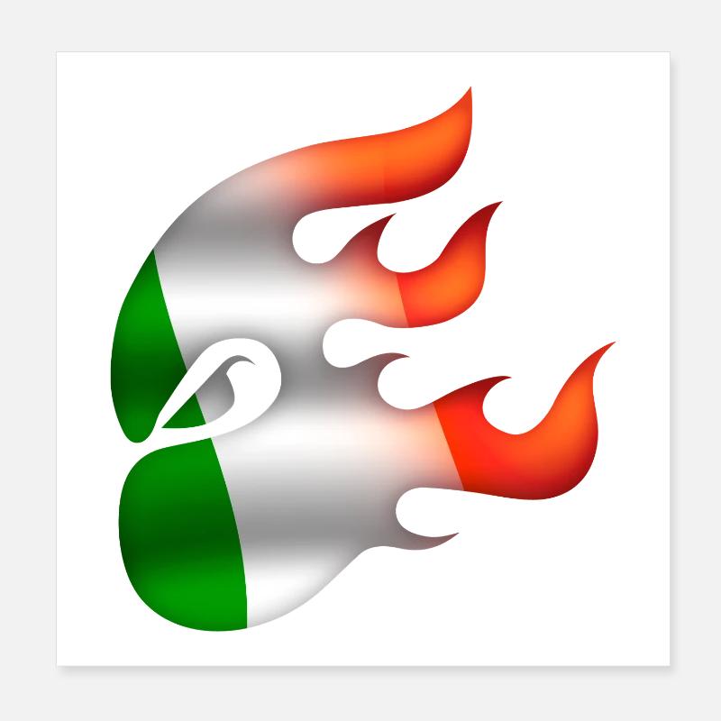 Drapeau de l’Irlande - Irlande - Ninja Poster 20 x 20 cm