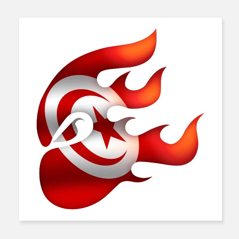Drapeau de la Tunisie - Tunisie - Ninja Poster 20 x 20 cm