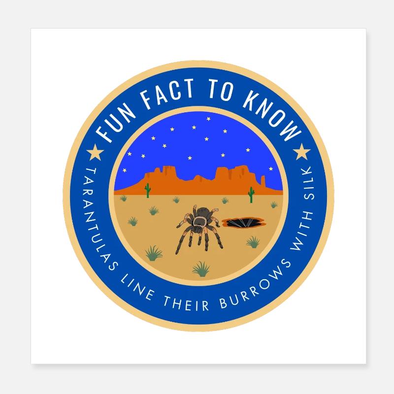 Desert Night Tarantula Fact Poster 8" x 8" (20x20 cm)