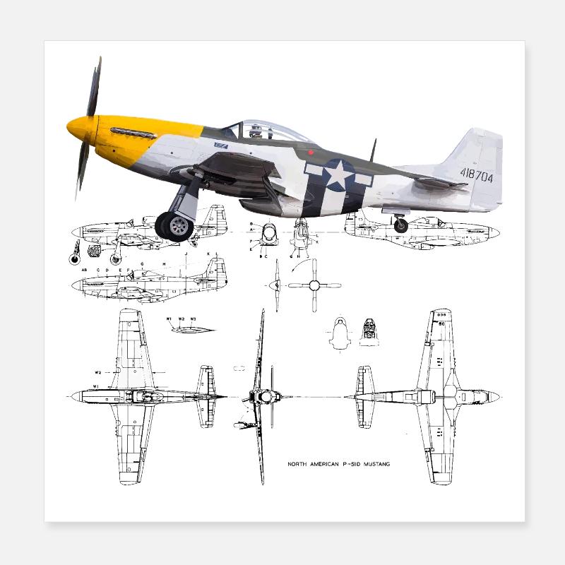 P-51 Poster 20 x 20 cm