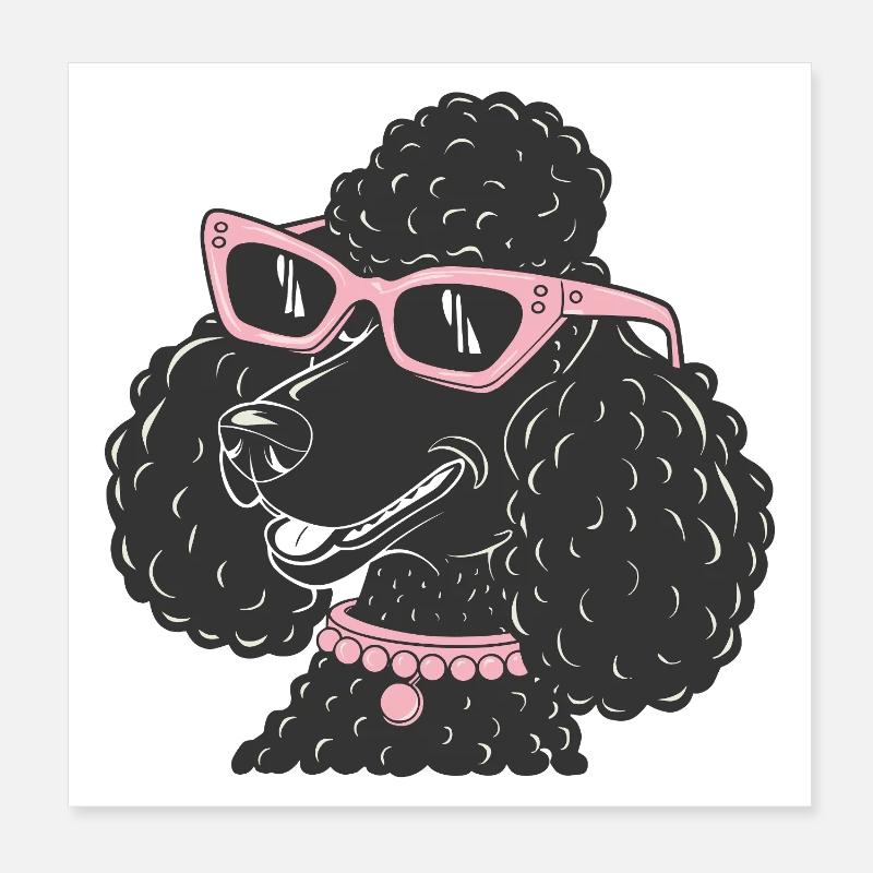 Funny Poodle Poster 8" x 8" (20x20 cm)