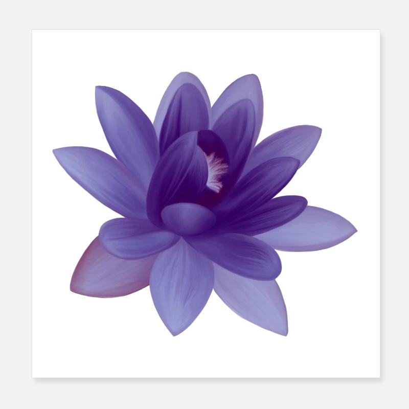 Illustration de fleur Poster 20 x 20 cm