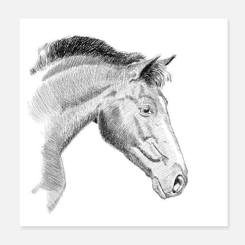 Horse Poster 8" x 8" (20x20 cm)