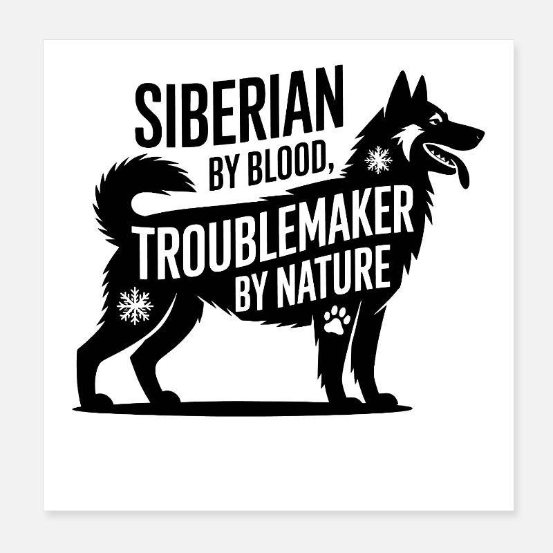 Siberian Husky Troublemaker Funny Dog  Poster 8" x 8" (20x20 cm)