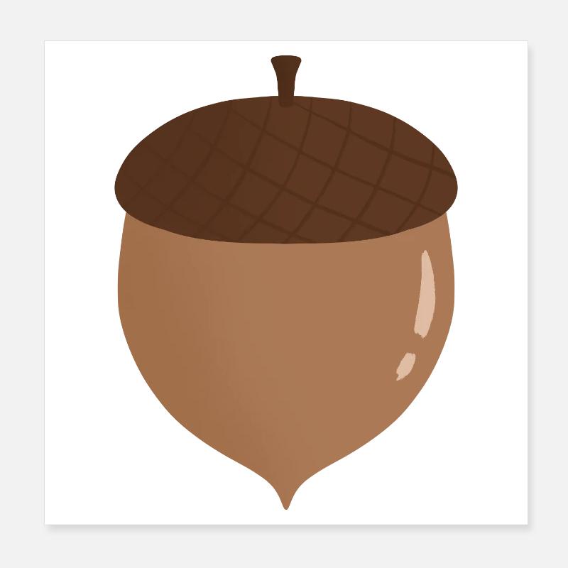 Illustration de gland Poster 20 x 20 cm