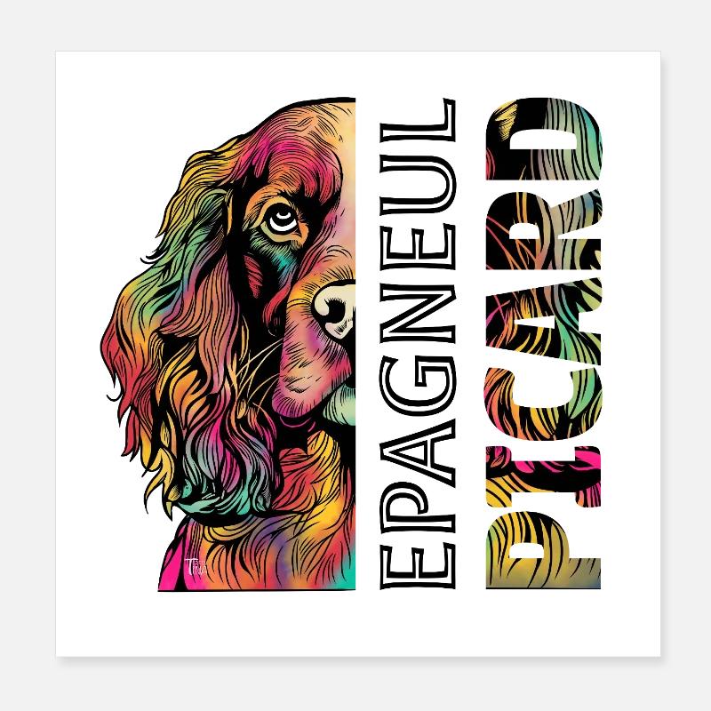 Epagneul coloré Picard Poster 20 x 20 cm