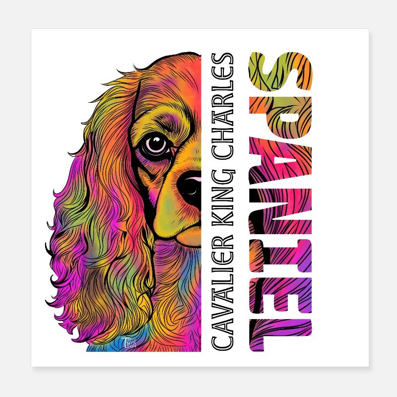 Cavalier King Charles Spaniel Poster 20x20 cm