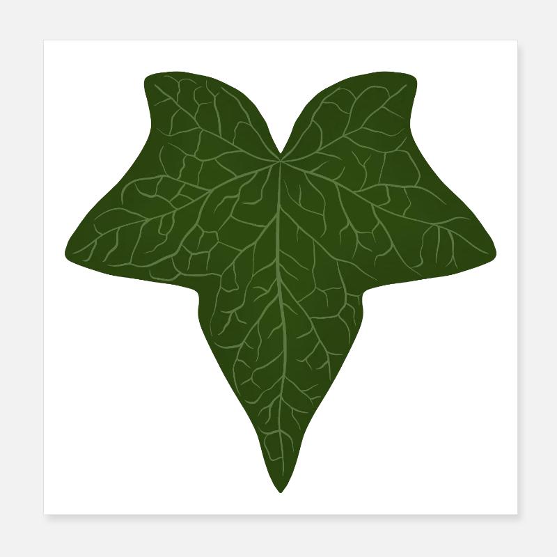 Elegantes grünes Efeublattmuster Poster 20x20 cm