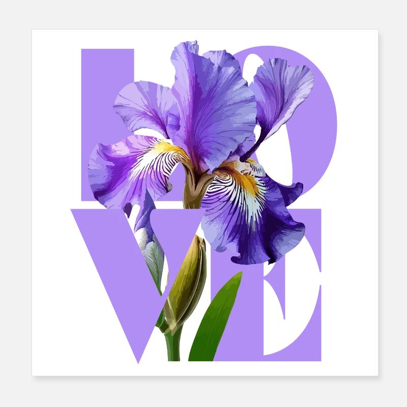 Elegantes lila Iris-Blumendesign Poster 20x20 cm