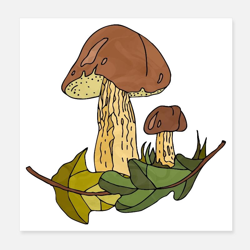 Pilze Poster 20x20 cm