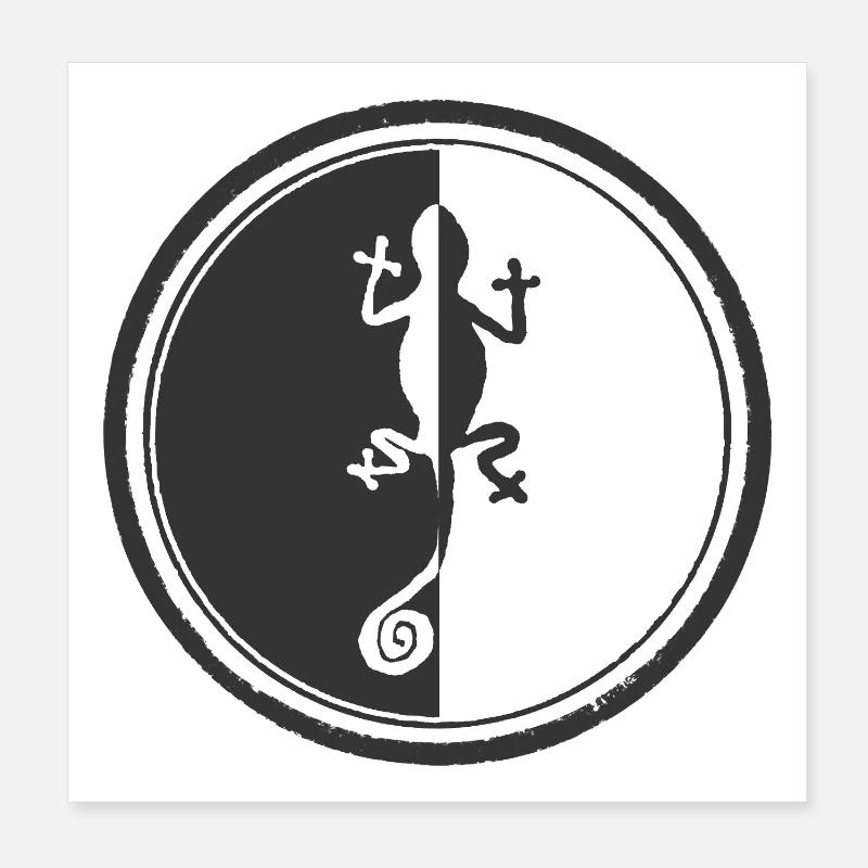 Design caméléon noir et blanc Poster 20 x 20 cm