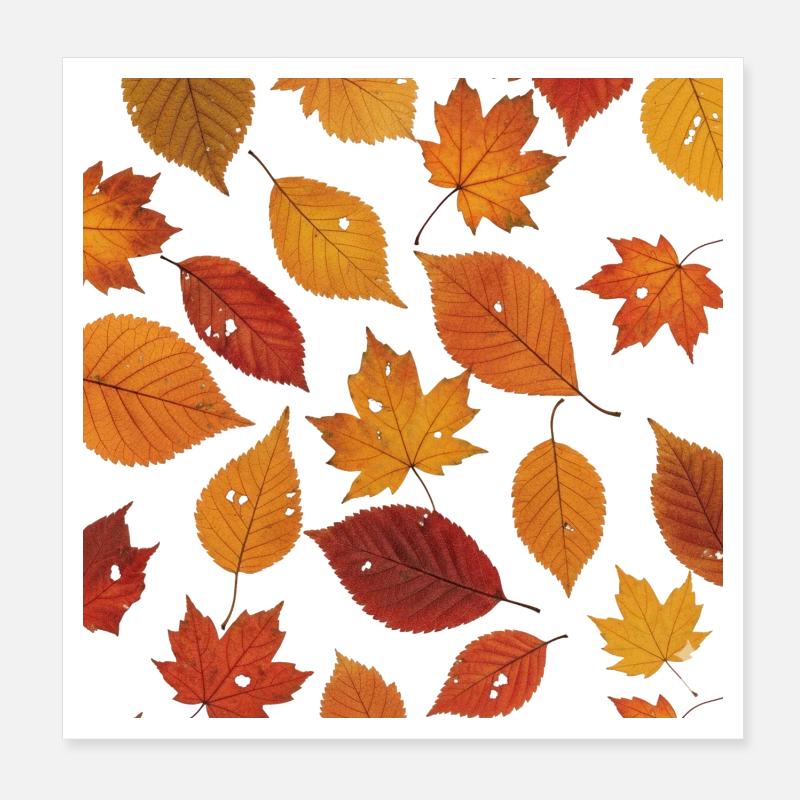 Motif de feuille d’automne Poster 20 x 20 cm