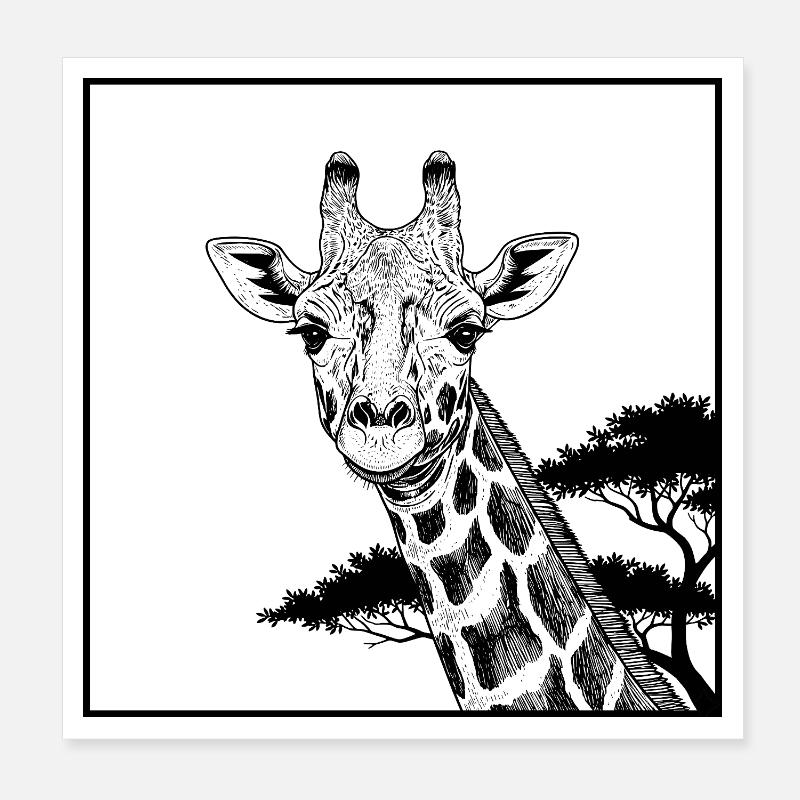 African Giraffe Poster 8" x 8" (20x20 cm)