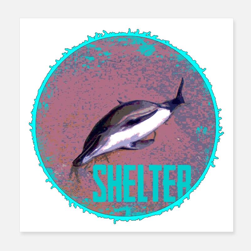 Dolphin Shelter Circle Poster 8" x 8" (20x20 cm)