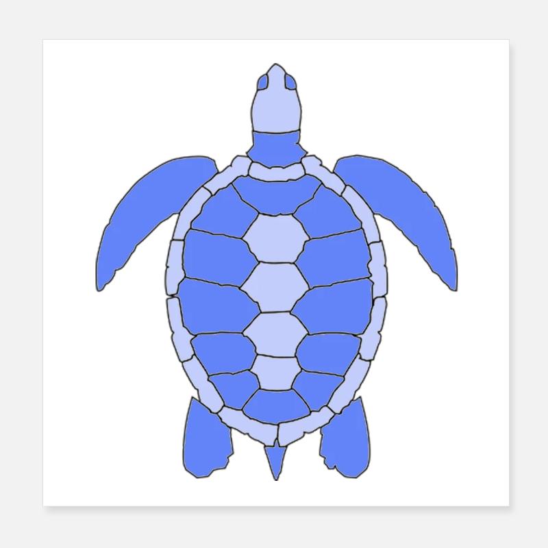 Tortue Poster 20 x 20 cm