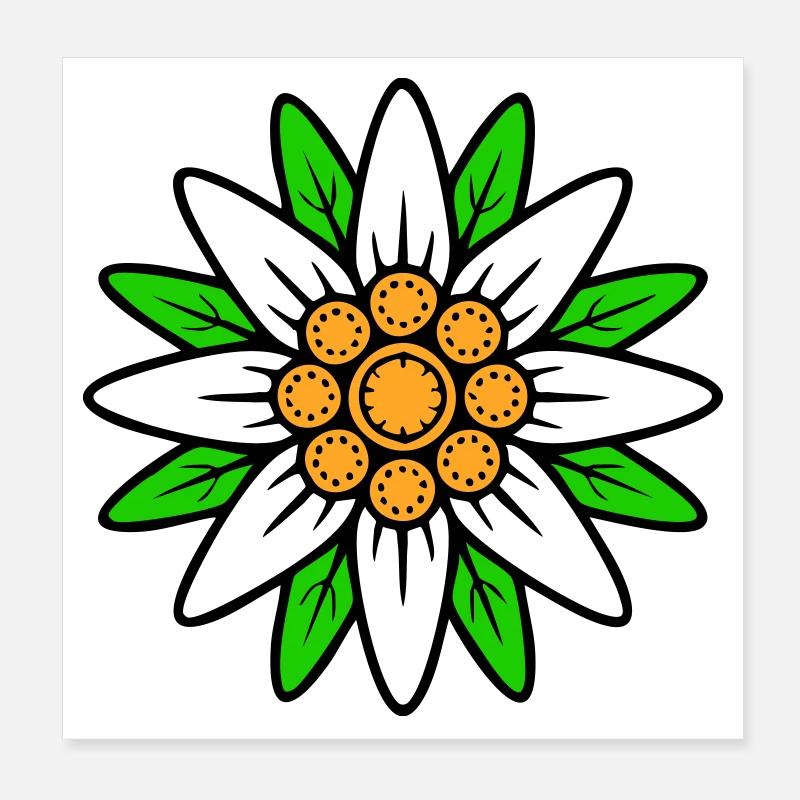 Edelweiss Poster 20 x 20 cm