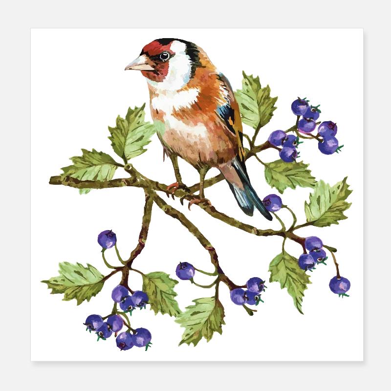 Oiseau coloré Poster 20 x 20 cm