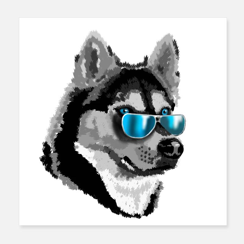 Husky avec des lunettes de soleil bleues Poster 20 x 20 cm