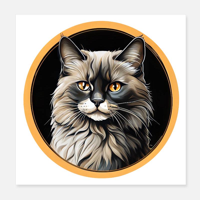 Portrait de chat Ragdoll Poster 20 x 20 cm