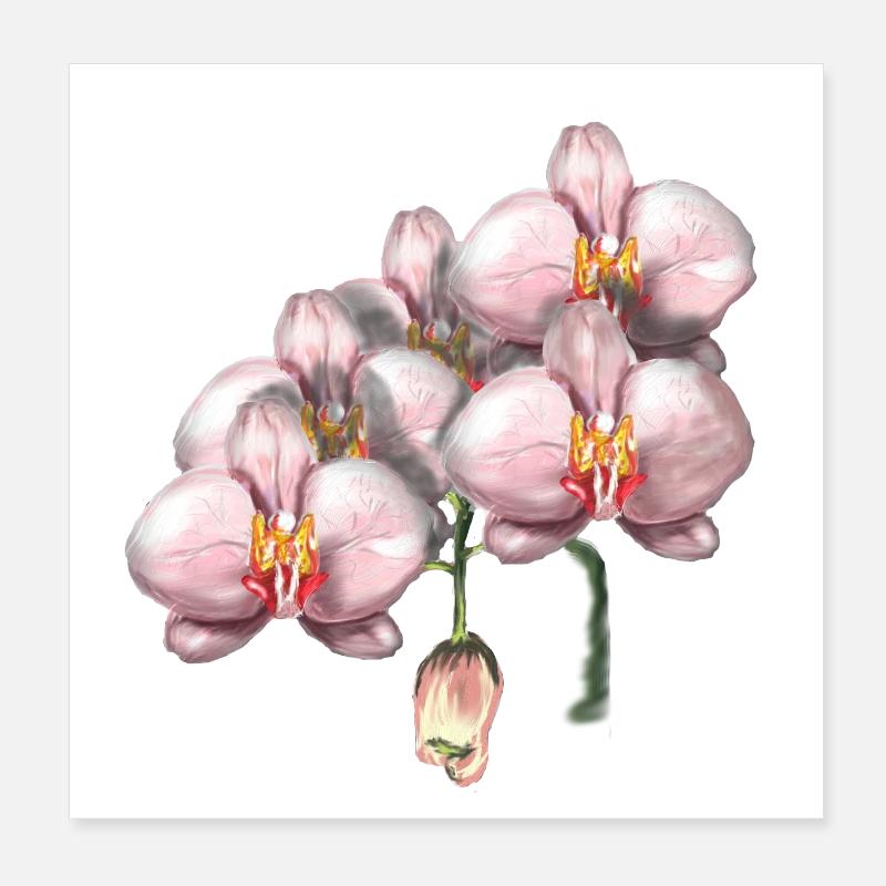 Illustration de fleurs d’orchidée rose Poster 20 x 20 cm