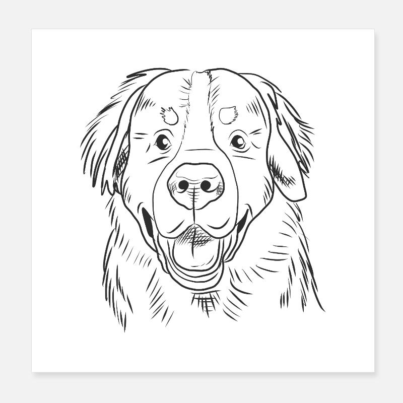 Bernese Mountain Dog Stubborn Funny Design Sketch Poster 8" x 8" (20x20 cm)