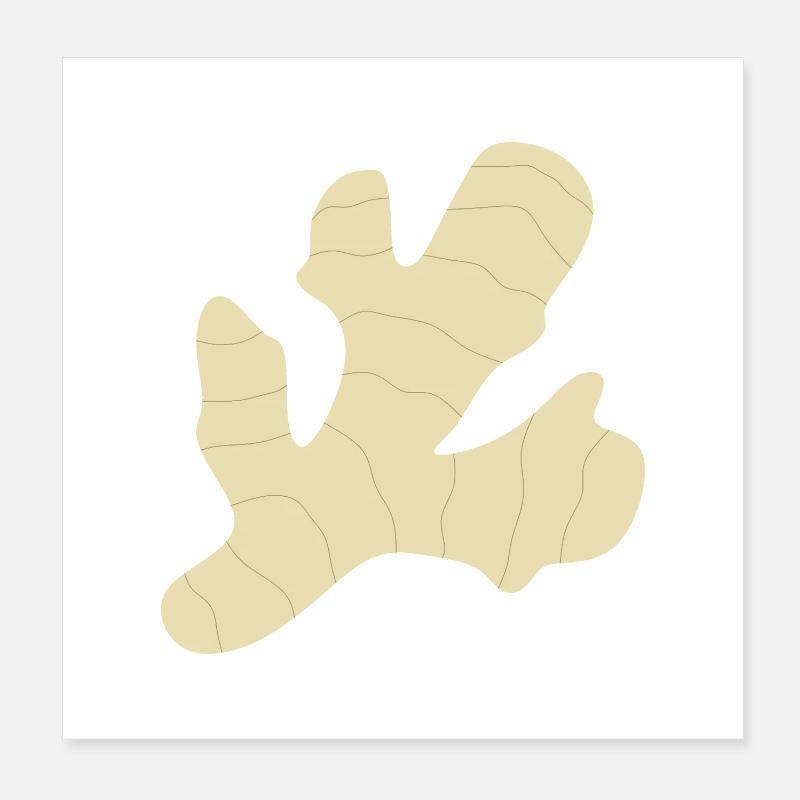 Ingwer Poster 20x20 cm