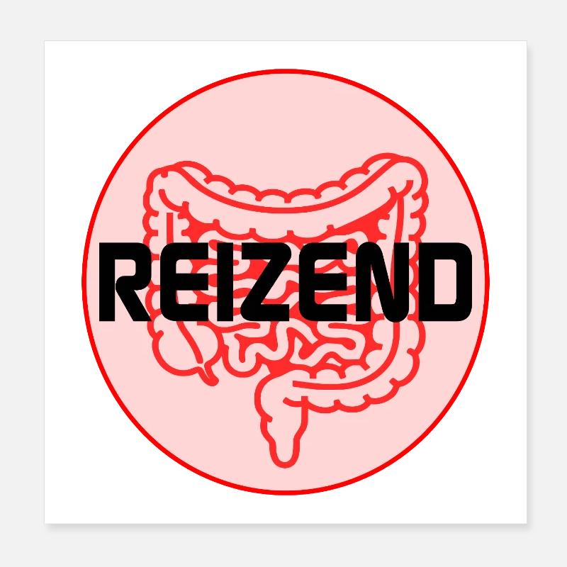IRRITATING BOWEL IRRITABLE BOWEL SYNDROME Poster 8" x 8" (20x20 cm)