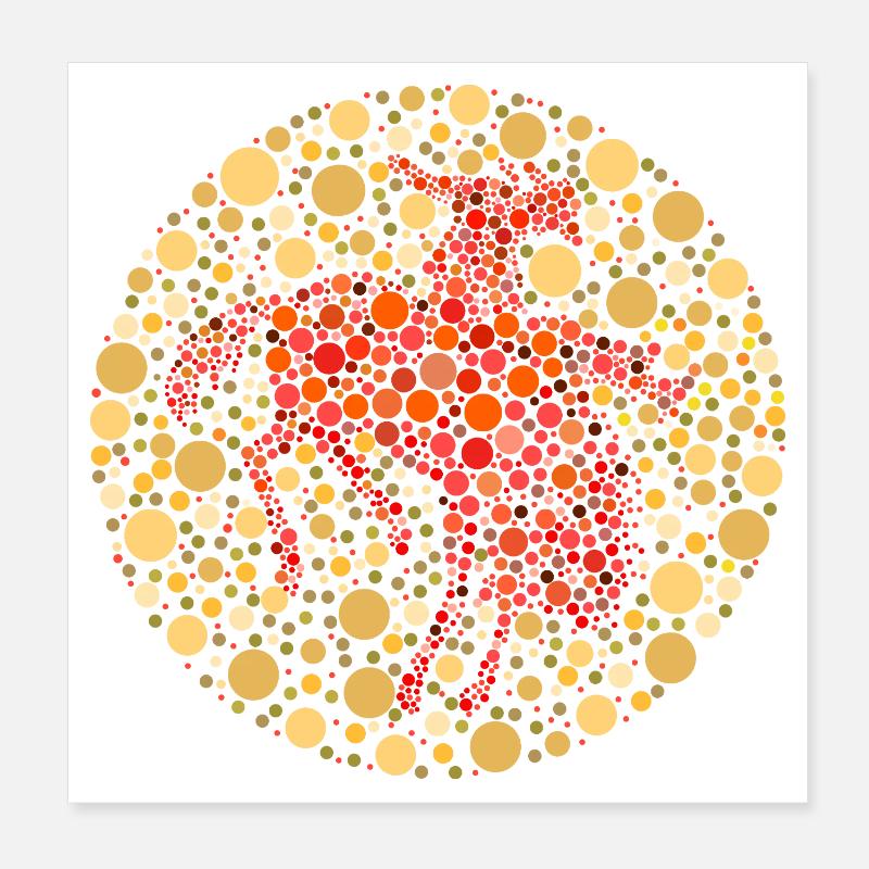 Reiter Rodeo Farbtest Poster 20x20 cm