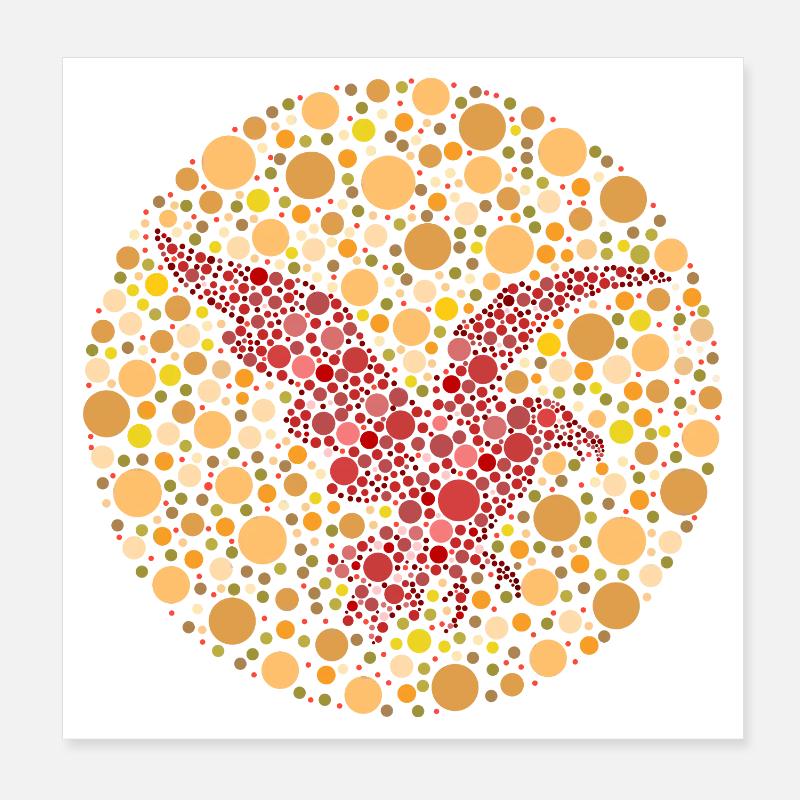 Test de couleur Adler Poster 20 x 20 cm