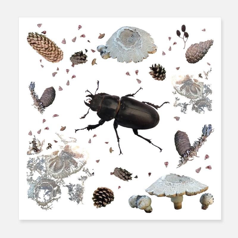 Hirschkäfer mit Tannenzapfen und Pilzen - Poster 20x20 cm - Weiß